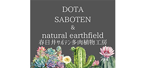 木の空間づくりプロジェクト/住生活環境研究所　福田設計